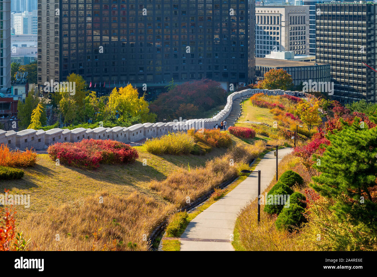 Città di Namsan parete e park a Seoul, Corea del Sud Foto Stock