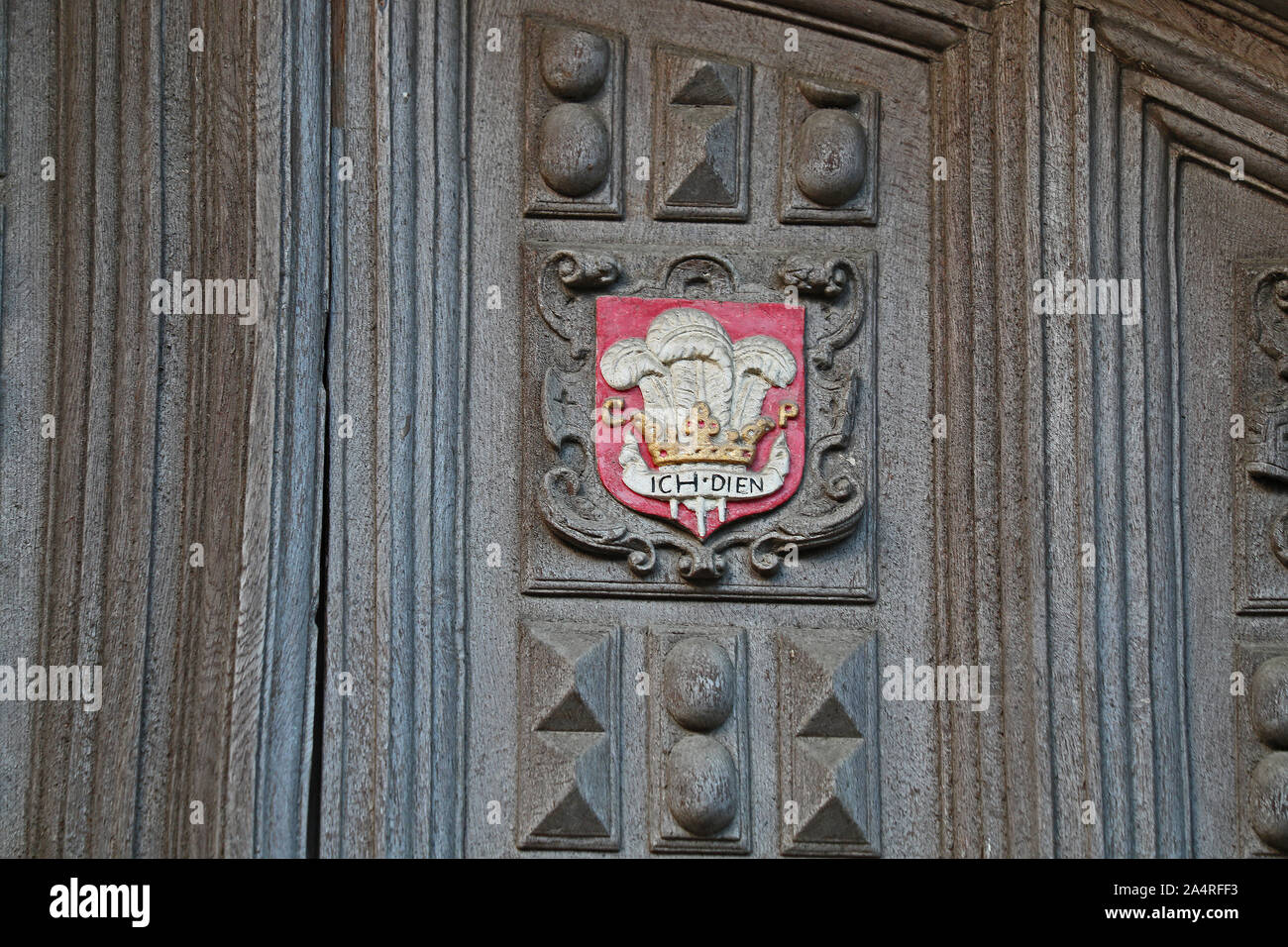 L'emblema araldico del Principe di Galles " piume su la grande porta per la Libreria di Bodleian di Oxford. Principe Nero il motto ich dien significa mi servono Foto Stock