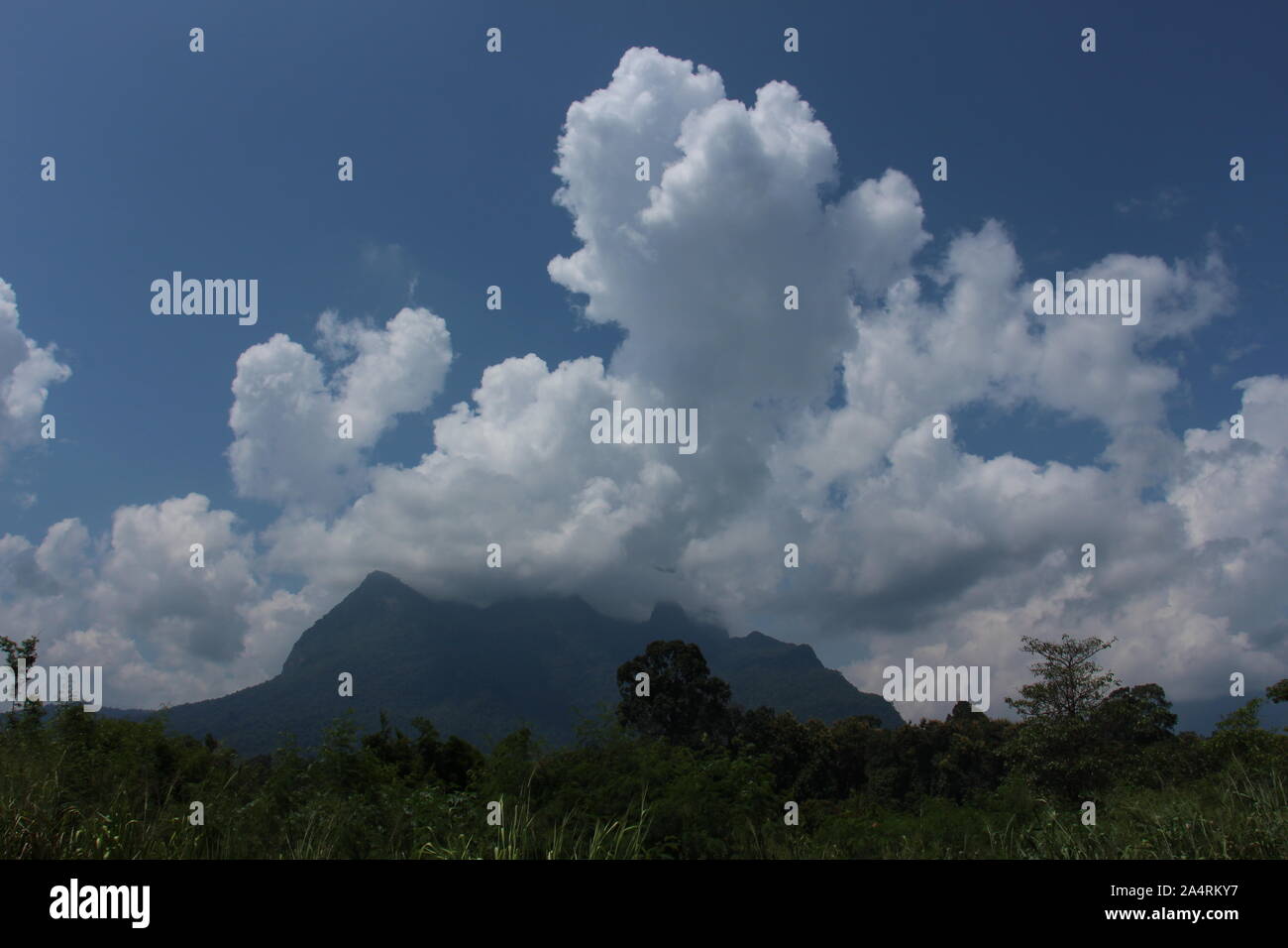 La natura nella stagione estiva. Luminoso cielo blu d'estate. Big cloud e la pioggia è venuta. Foto Stock