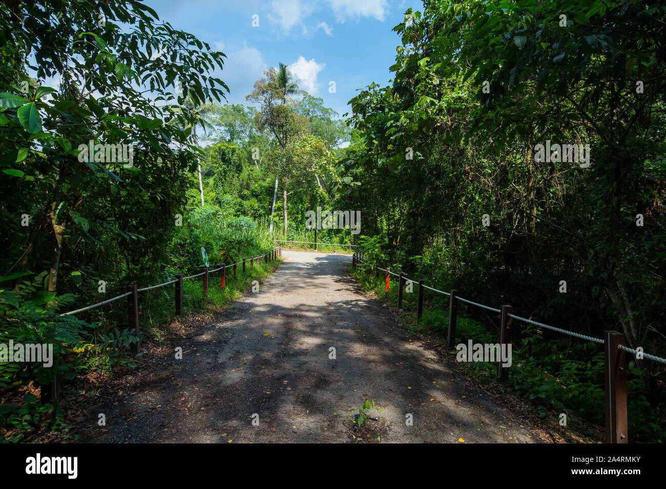 Un sentiero panoramico per gli utenti per godersi una passeggiata, confine è applicabile per proteggere la fauna selvatica e gli habitat naturali del Thomson Nature Park di Singapore. Foto Stock