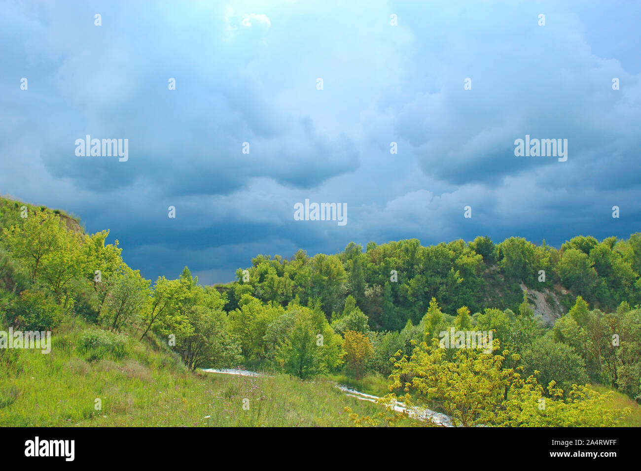 Paesaggio con thundercloud su verde foresta. Storm cloud verde sopra vegetazioni. Bella raincloud su con blu scuro nuvole. La natura prima di pioggia. Foto Stock