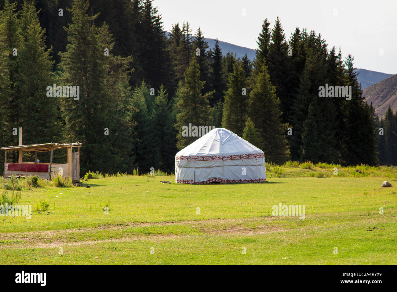Paesaggio di estate in montagna. Alberi di alto fusto di un albero di Natale, la nazionale di dimora è un yurt. Kirghizistan Turismo e Viaggi Foto Stock