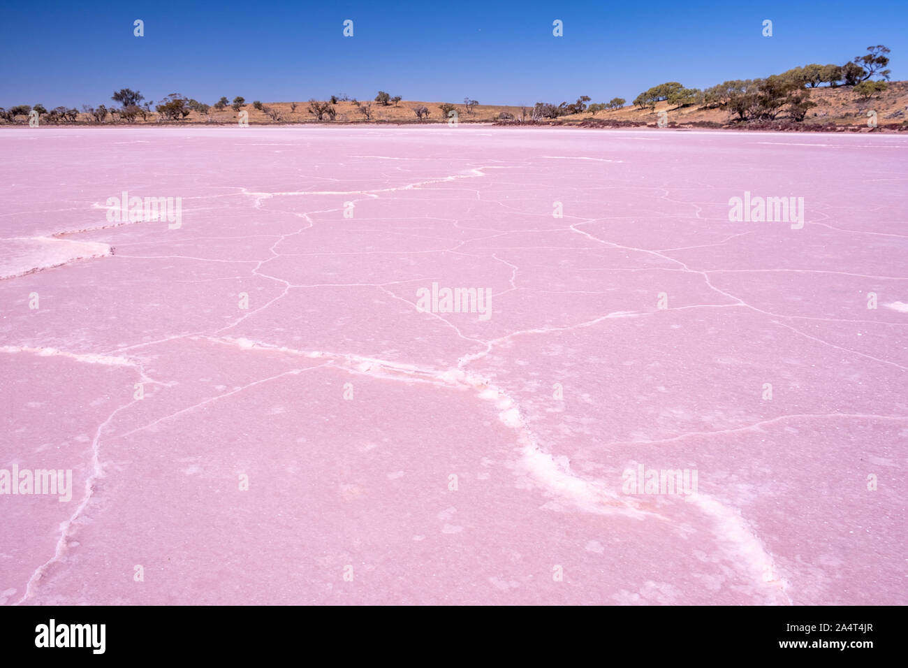 Vivid pink Salt Lake texture in Murray-Sunset National Park, Australia Foto Stock