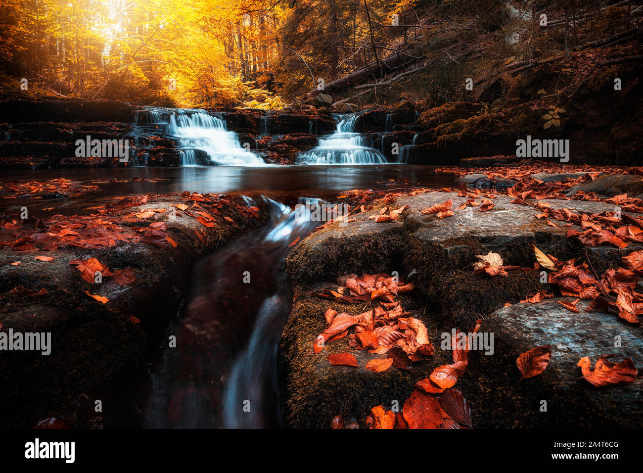 Bella foresta in autunno con il fiume e la cascata di flusso a cascata nelle rocce con colorate di rosso caduto foglie secche, naturale sfondo stagionali. Foto Stock