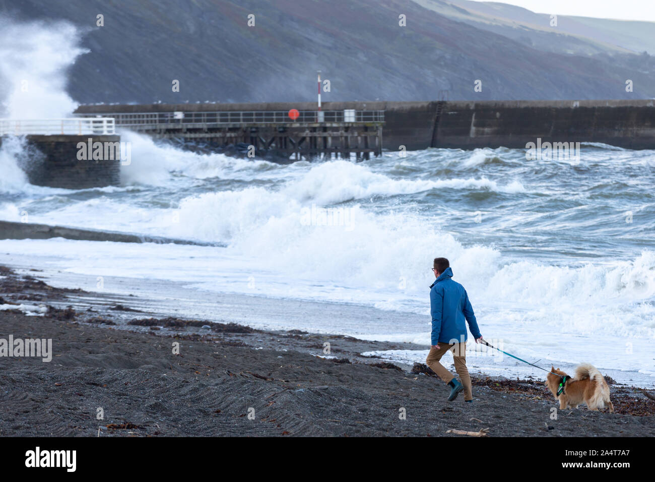 Aberystwyth, Ceredigion, Wales, Regno Unito. Xvi oct, 2019. Regno Unito: Meteo ventoso mattina con il sole in Aberystwyth come un uomo cammina lungo la spiaggia, mentre le onde si infrangono sulla difesa del mare. Credito: Ian Jones/Alamy Live News Foto Stock