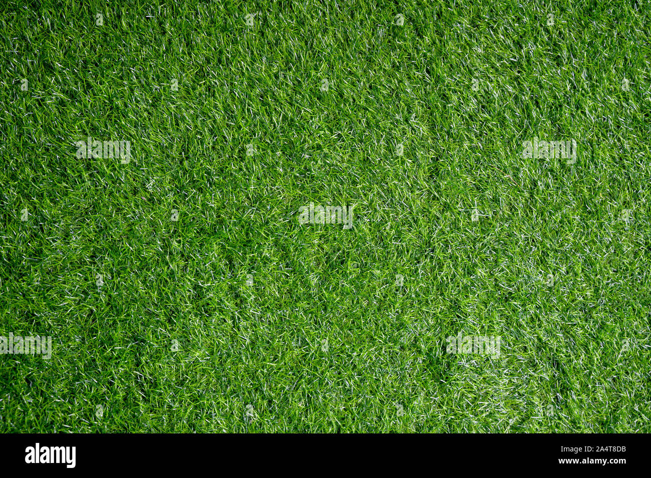 Lo sfondo del campo di prato verde guarda al di sopra. Foto Stock