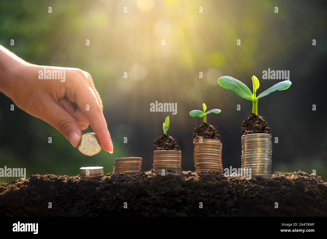 La crescita di denaro per un risparmio di denaro. Albero superiore monete al concetto illustrato ai cambiamenti di un business in espansione Foto Stock