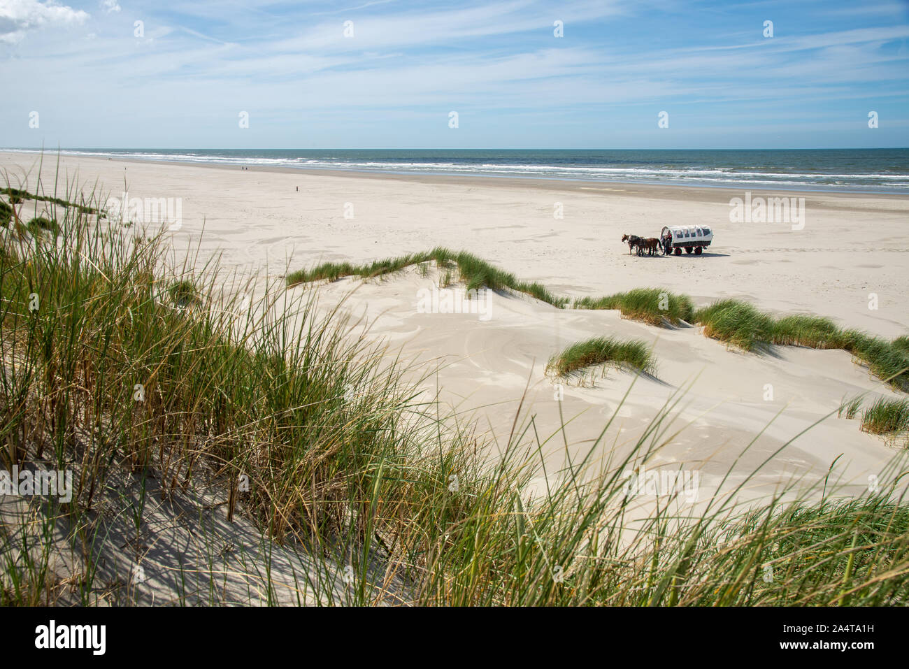 Carrello a cavallo in spiaggia a Terschelling island in Olanda Foto Stock