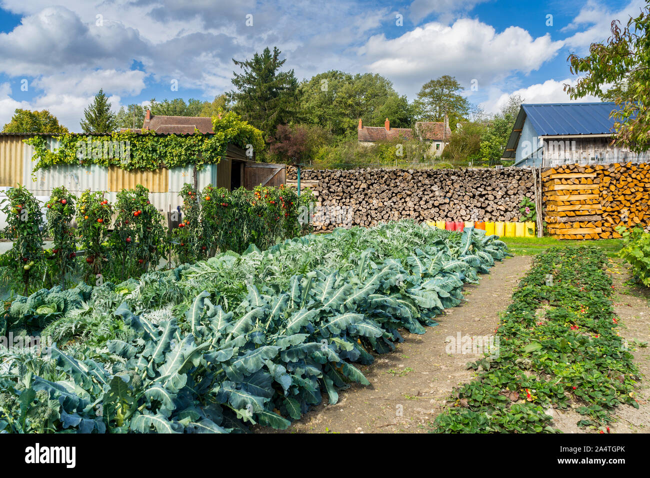 Garden Cottage con verdure la coltivazione e la pila di log - Le Petit Pressigny, Francia. Foto Stock