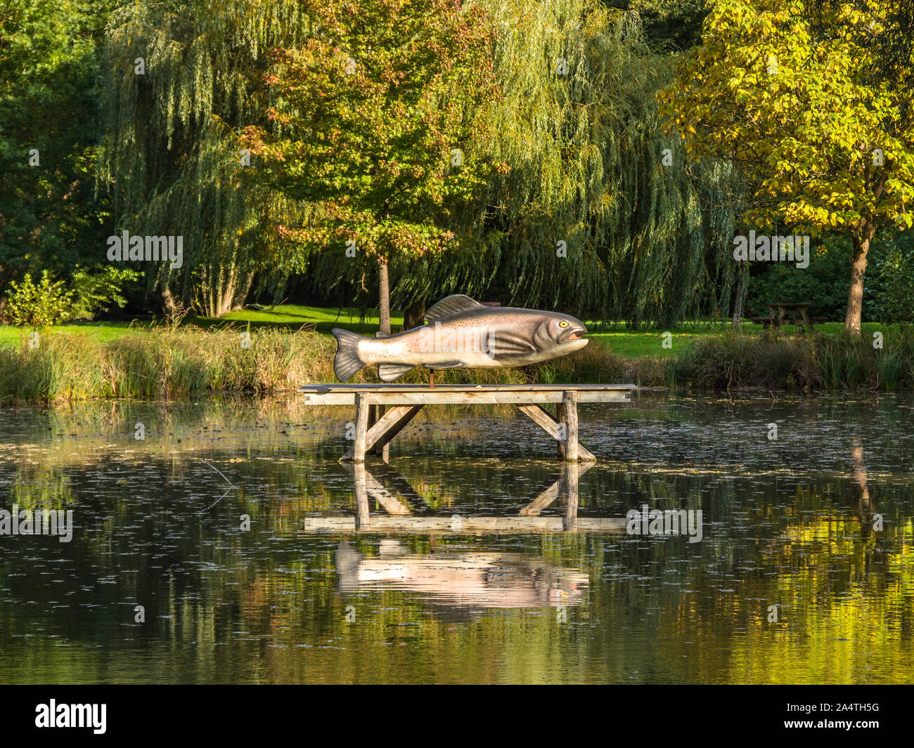 Modello di grandi dimensioni di trote sul lago - Le Petit Pressigny, Francia. Foto Stock