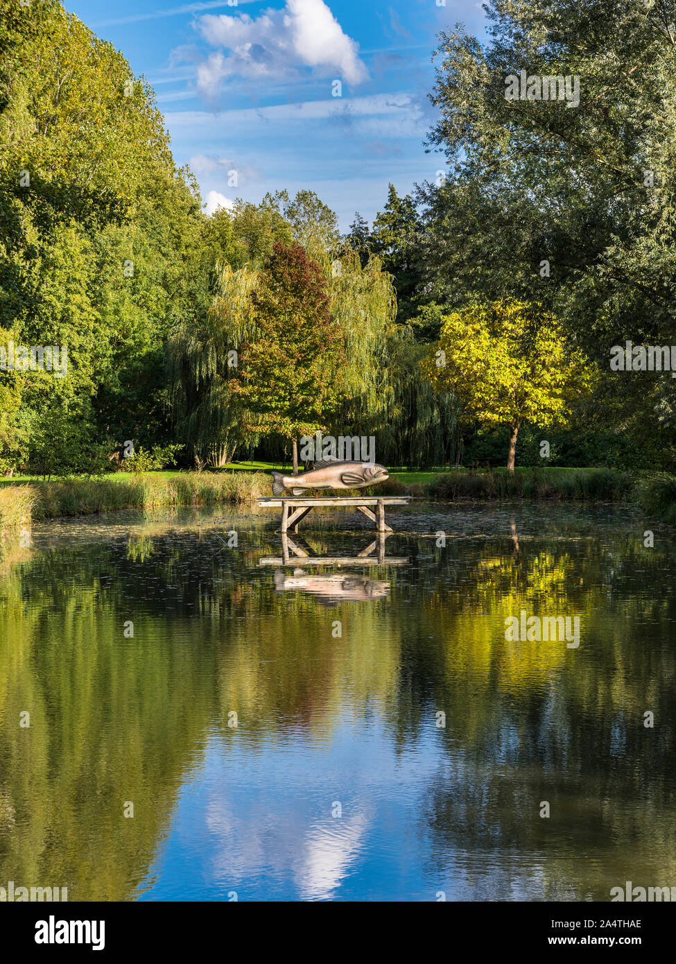 Modello di grandi dimensioni di trote sul lago - Le Petit Pressigny, Francia. Foto Stock