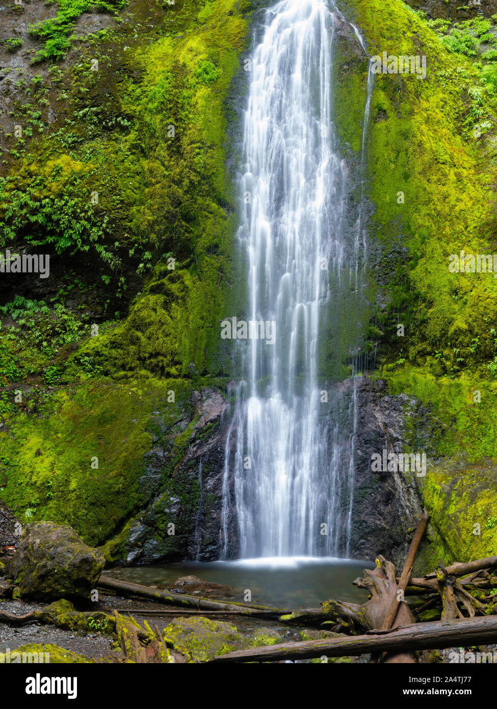 Una cascata in un giorno nuvoloso alla scalinata unità del Parco Nazionale di Olympic, Washington, Stati Uniti d'America. Foto Stock