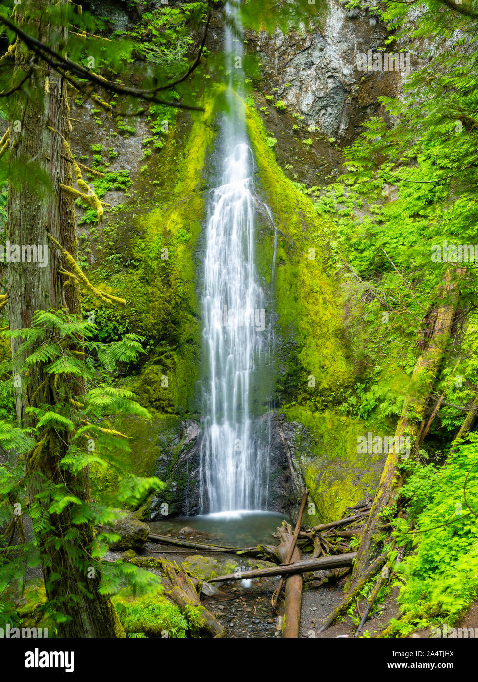 Una cascata in un giorno nuvoloso alla scalinata unità del Parco Nazionale di Olympic, Washington, Stati Uniti d'America. Foto Stock