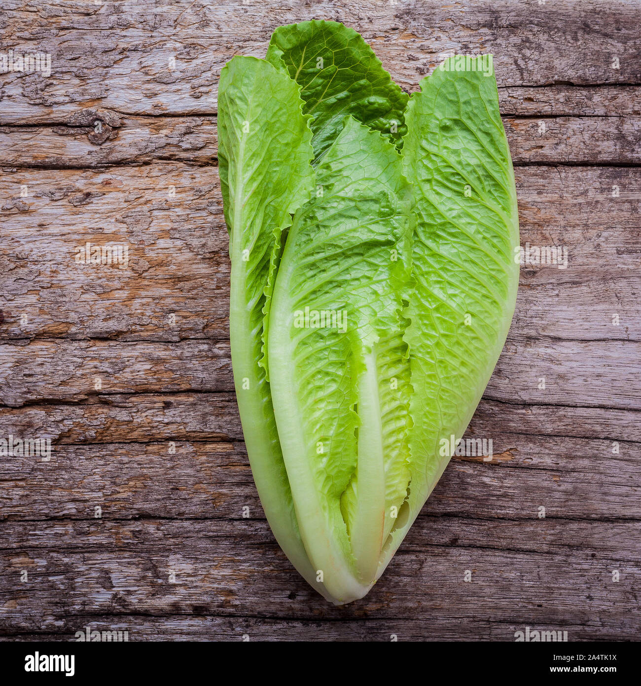 Sfondo di cibo e il concetto di insalata fresca con cos piatto di lattuga giaceva sul malandato sfondo di legno. Foto Stock