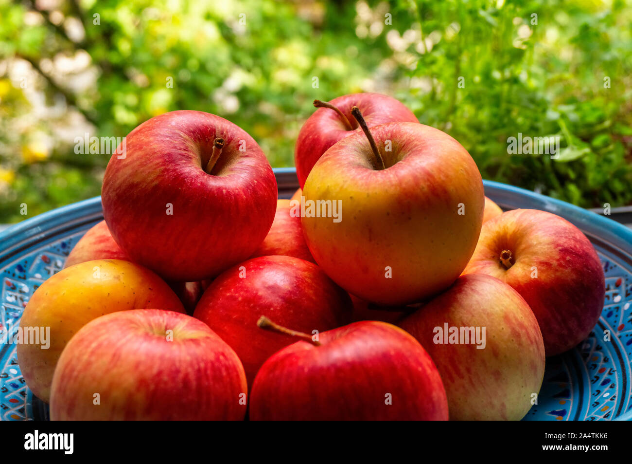 Mele biologiche in una ciotola contro natura verde sullo sfondo Foto Stock