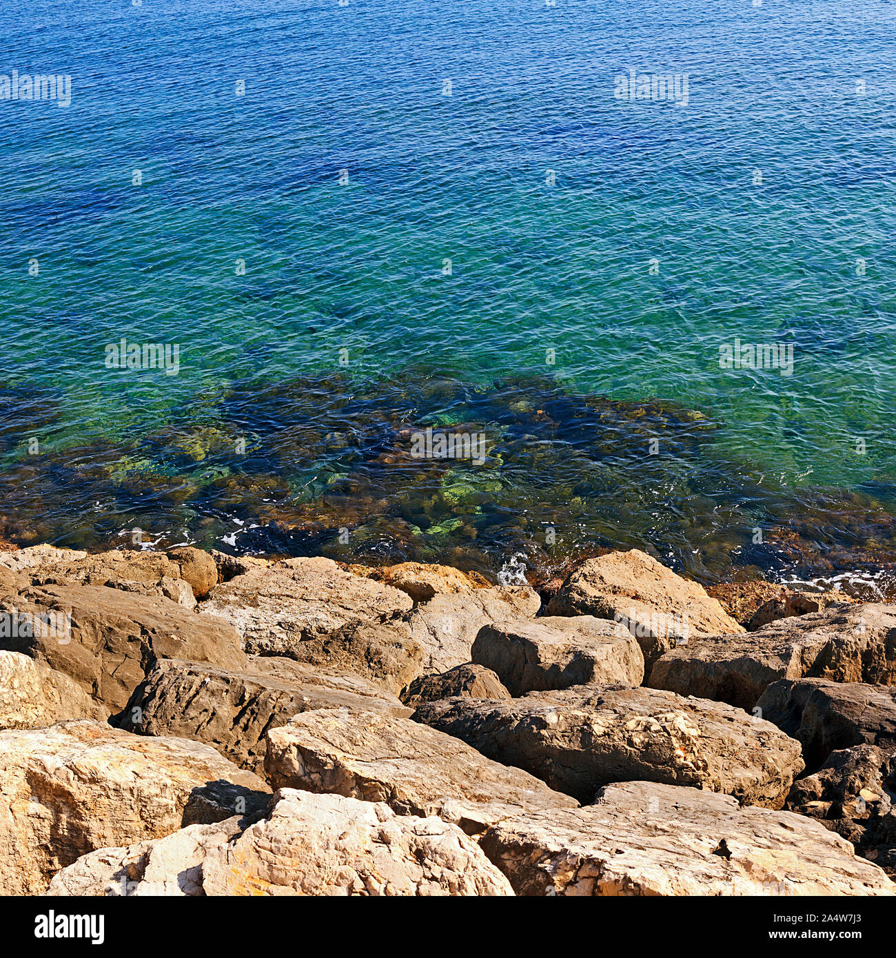 L'acqua chiara del Mediterraneo la lappatura sulle rocce alla base del seawall al Porto di Denia sulla Costa Blanca, Spagna Foto Stock