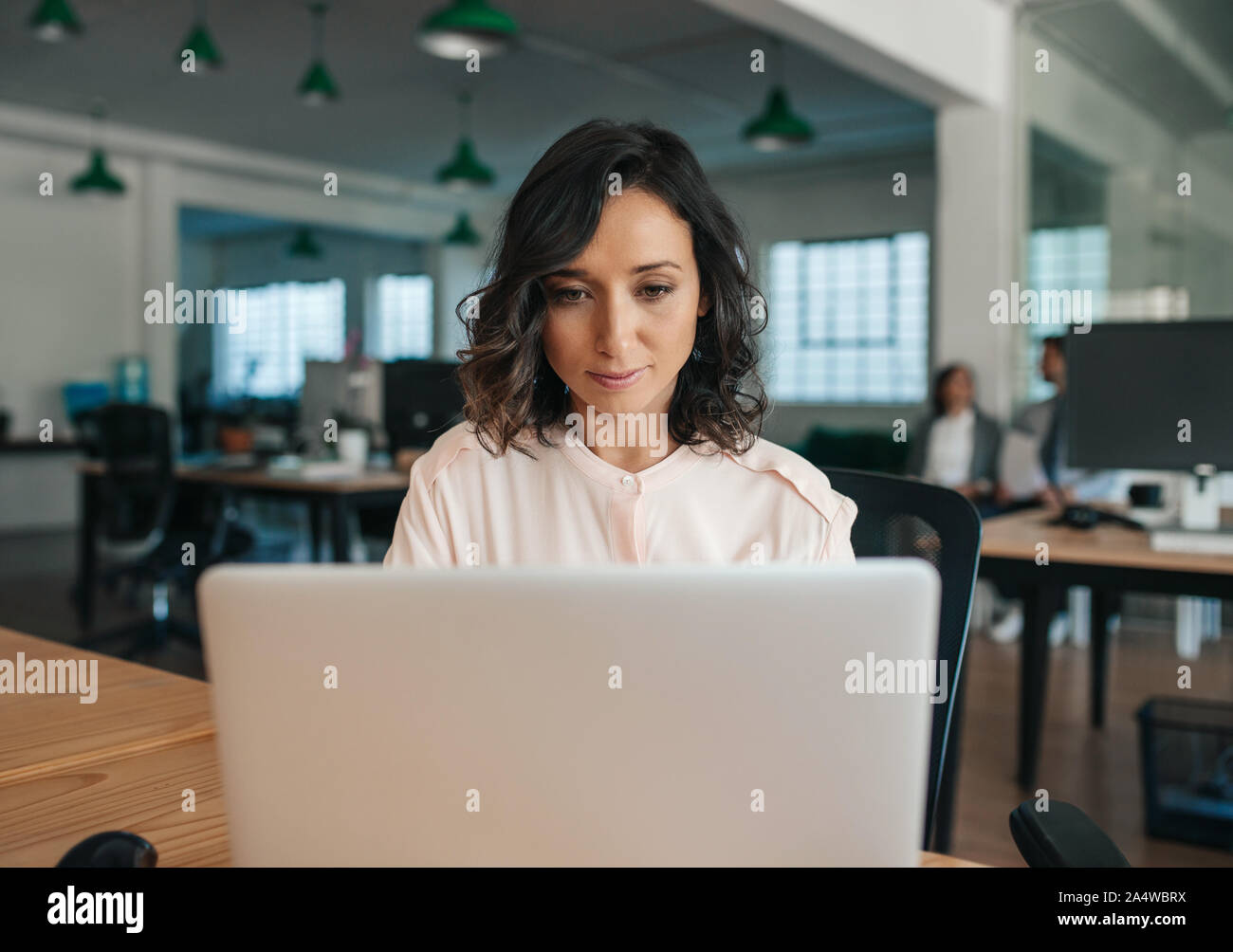 Focalizzato giovane imprenditrice lavorando sul suo computer portatile in un ufficio Foto Stock