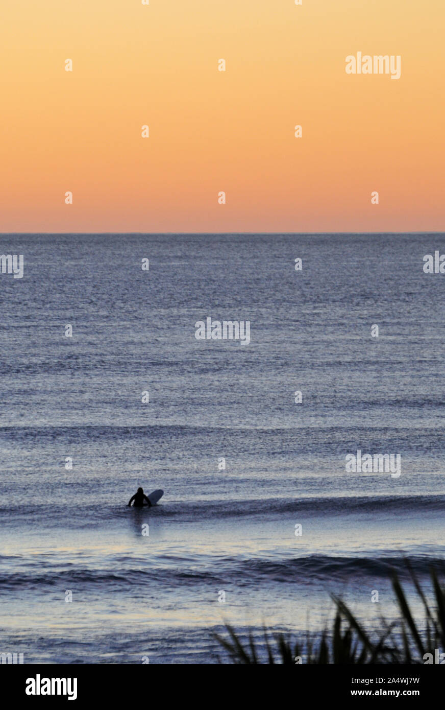 Intorno alla Nuova Zelanda - un unico surfer di attesa per il diritto d'onda, nella caduta di luce della sera Foto Stock