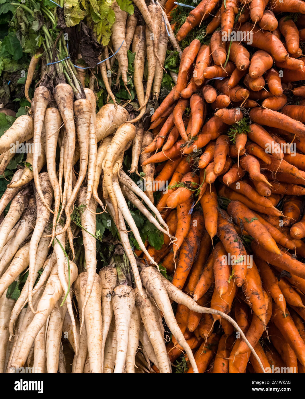 Materie e non lavate pastinaca e carote per la vendita in un supermercato, cibo crudo texture di sfondo Foto Stock