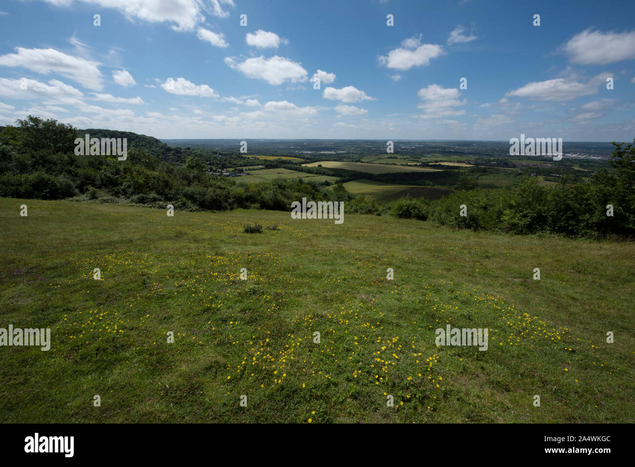 Vista del paesaggio, Bluebell Hill, Kent Wildlife Trust, Chalkland giù, panaromic vedute del Weald Foto Stock