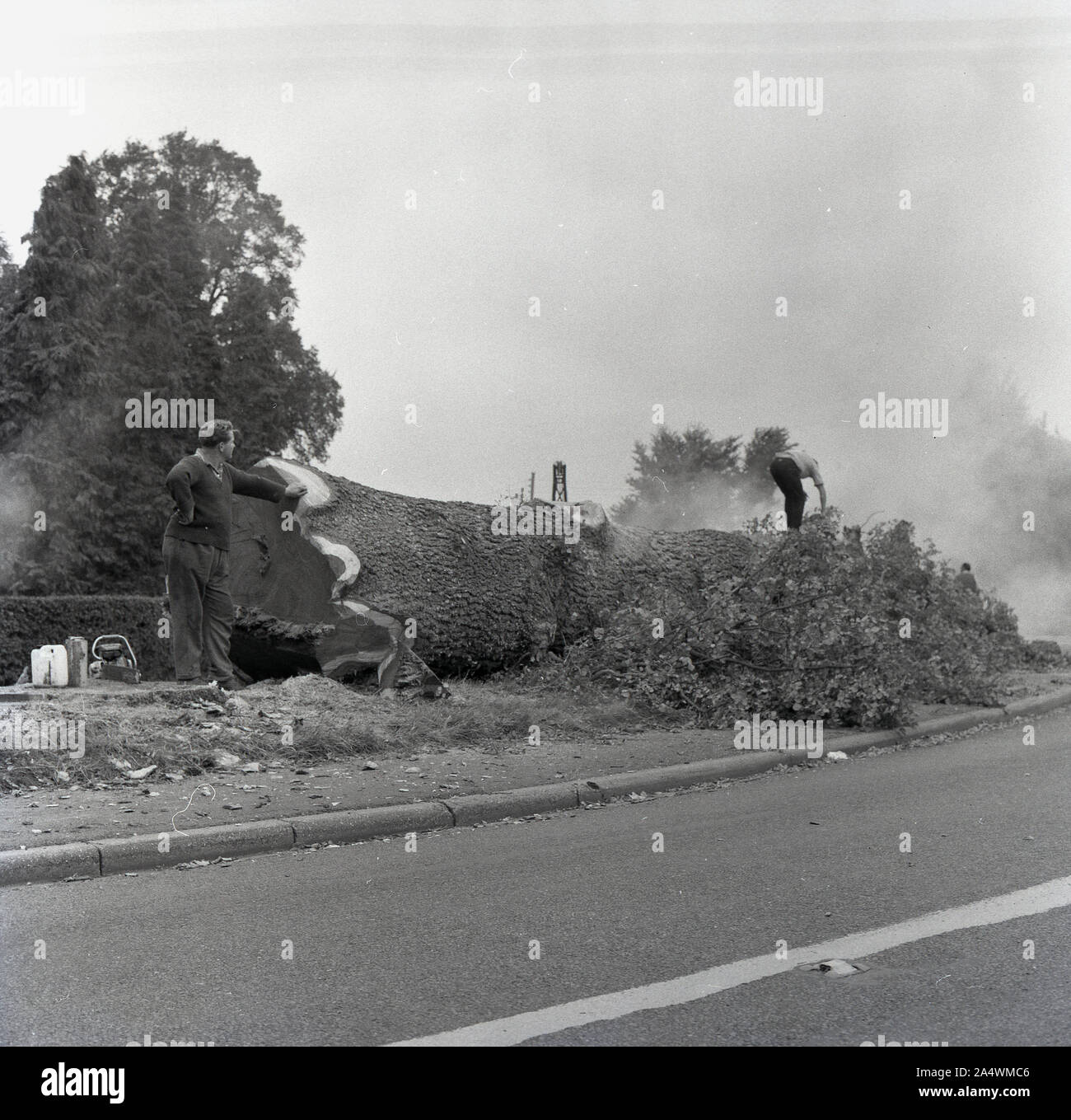 1967, storico, un lavoratore di alberi che si trova accanto alla base di un grande albero caduto da una strada, motosega a terra, Inghilterra, Regno Unito. Foto Stock