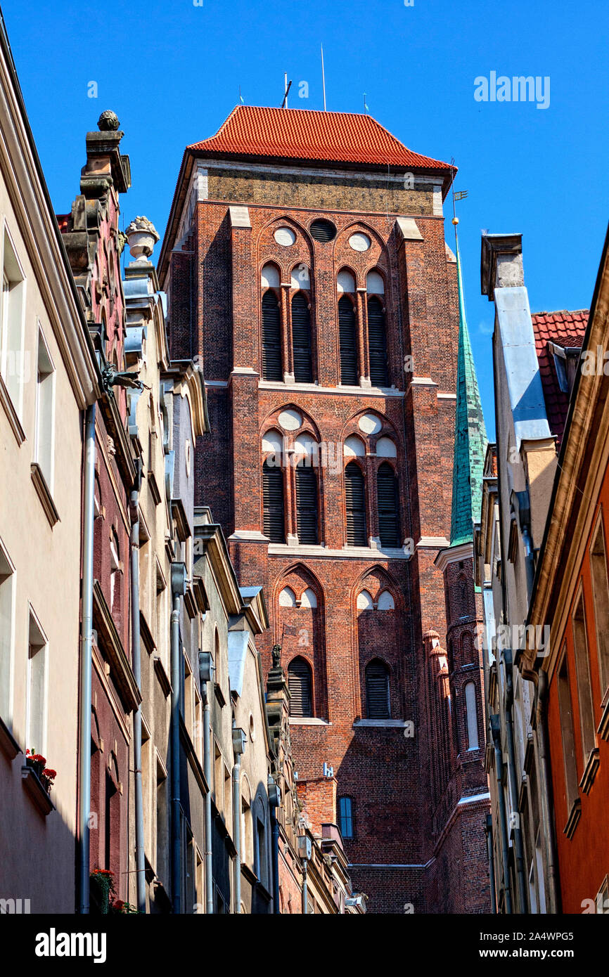 Torre Campanaria della Basilica gotica dell Assunzione della Beata Vergine Maria visto dalla strada stretta Kaletnicza, Gdansk, Polonia, Europa Foto Stock
