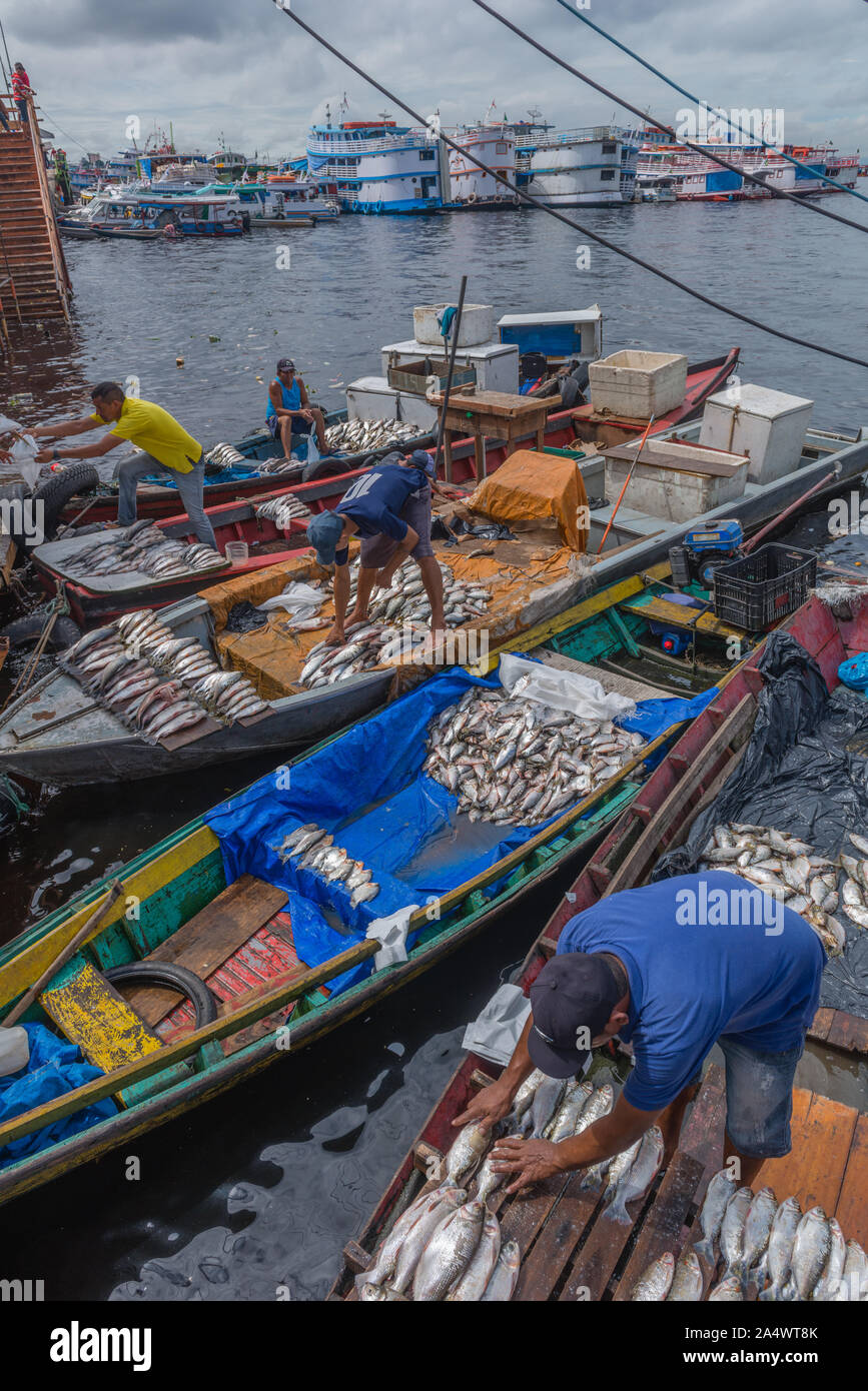 La pesca habor in Porto Flutante o Floating Porto, aprire barche da pesca con i proprietari vendono pesce fresco, Manaus, l'Amazzonia, Brasile, dell'America Latina Foto Stock