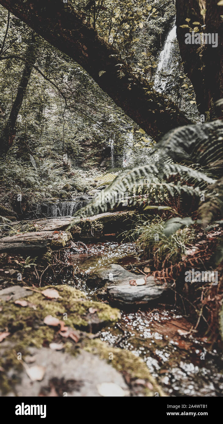 Cascata di hortas, con aspetto moody Foto Stock