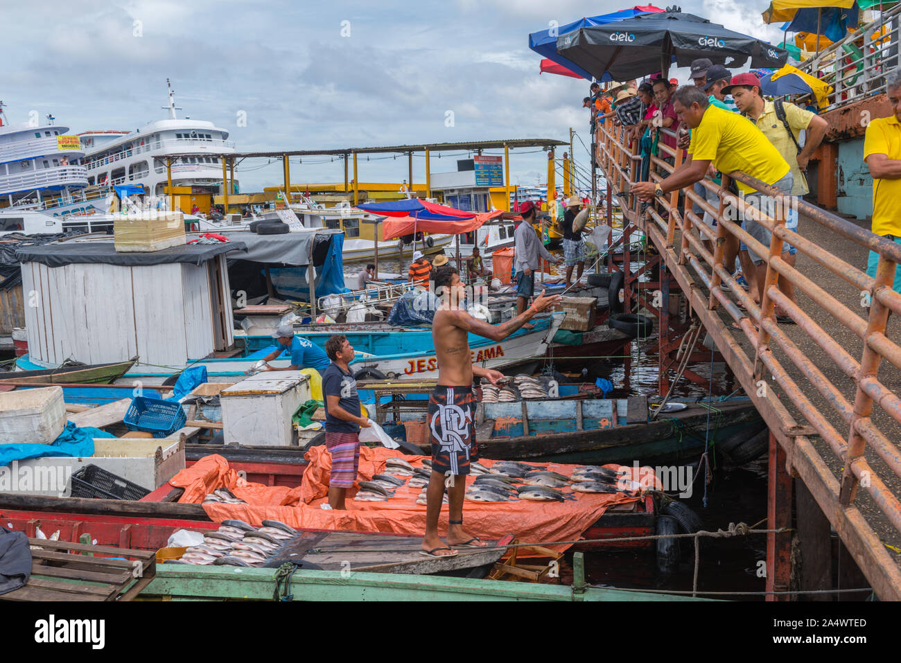 La pesca habor in Porto Flutante o Floating Porto, aprire barche da pesca con i proprietari vendono pesce fresco, Manaus, l'Amazzonia, Brasile, dell'America Latina Foto Stock