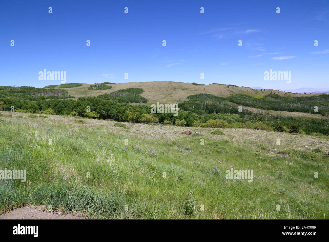 Scena stradale sulla Utah's Scenic Byway 12 Foto Stock