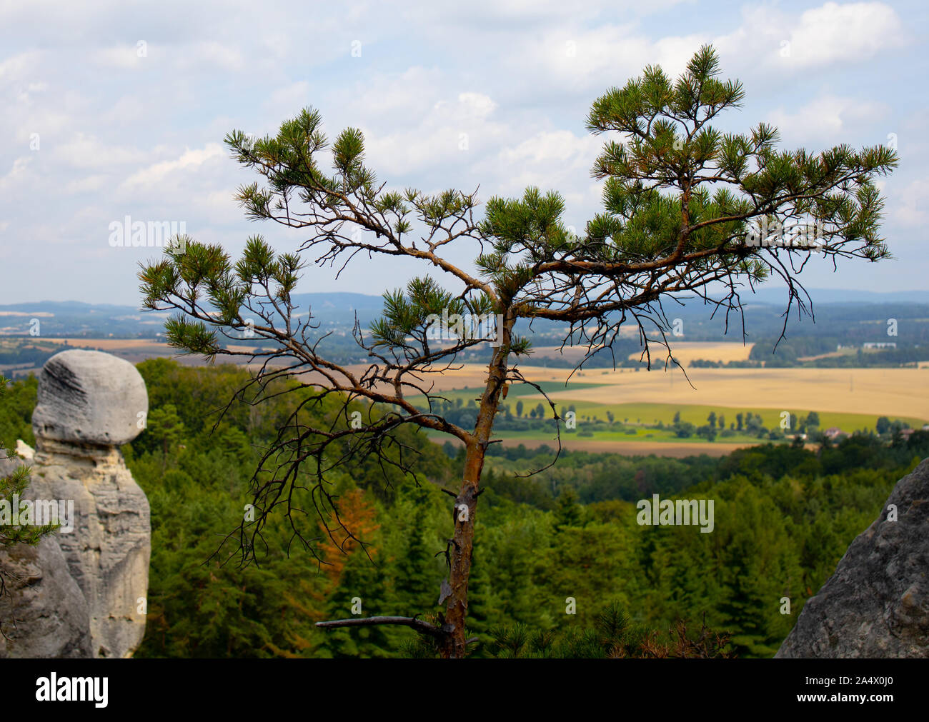 Hrubá Skála rocce, incredibili rocce, rock climbing, Paradiso Boemo, una combinazione unica di bizzarre formazioni rocciose, fitte foreste di pini Foto Stock