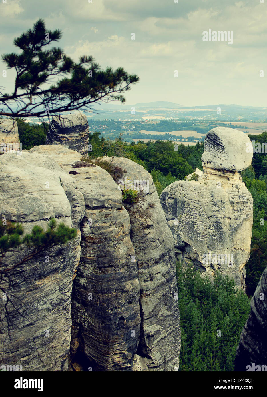 Hrubá Skála rocce, incredibili rocce, rock climbing, Paradiso Boemo, una combinazione unica di bizzarre formazioni rocciose, fitte foreste di pini Foto Stock
