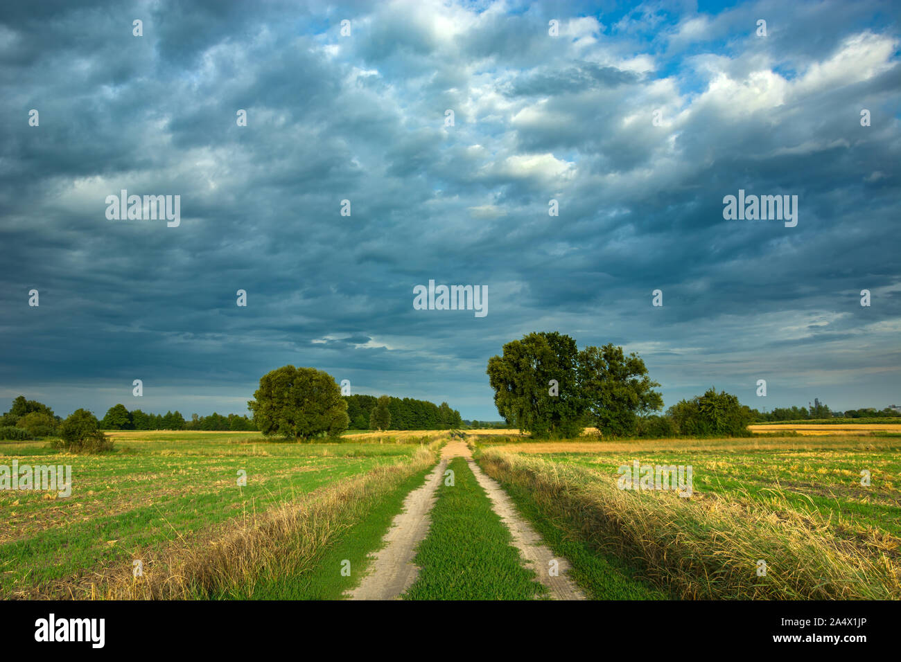 La strada attraverso campi e piovosa scure nuvole nel cielo Foto Stock