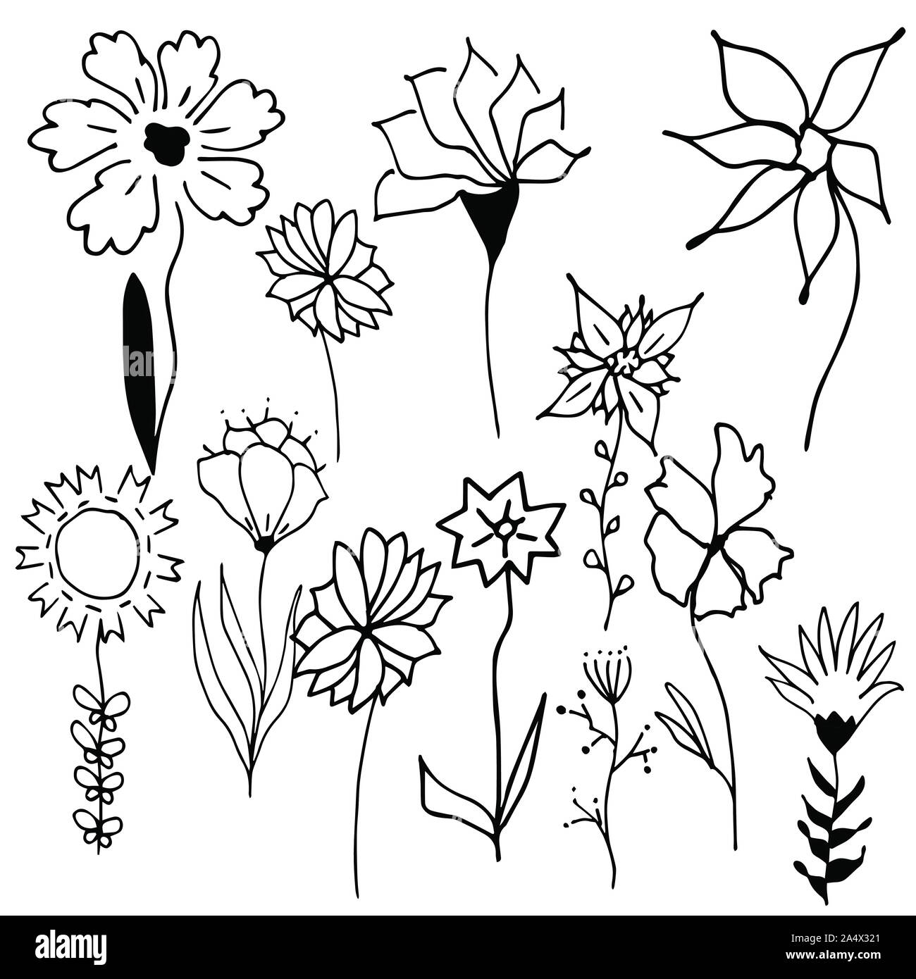 Set di bianco e nero con motivi floreali di vettore biglietto di auguri con giardino fiorito fiori, botanico illustrazione naturale su sfondo bianco in mano non disegnata Illustrazione Vettoriale