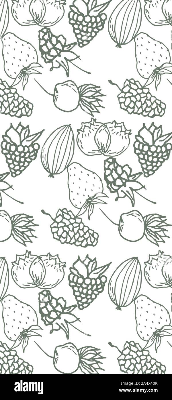 Bacche di colore disegnato a mano set di vettore. Frutta illustrazione botanica. Incisione di frutti di bosco doodle schizzo line.Dessert ingrediente.Grande per la pagina web sfondo, w Illustrazione Vettoriale