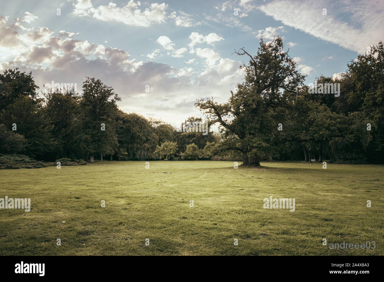 Splendide vedute di un parco in Germania settentrionale Foto Stock