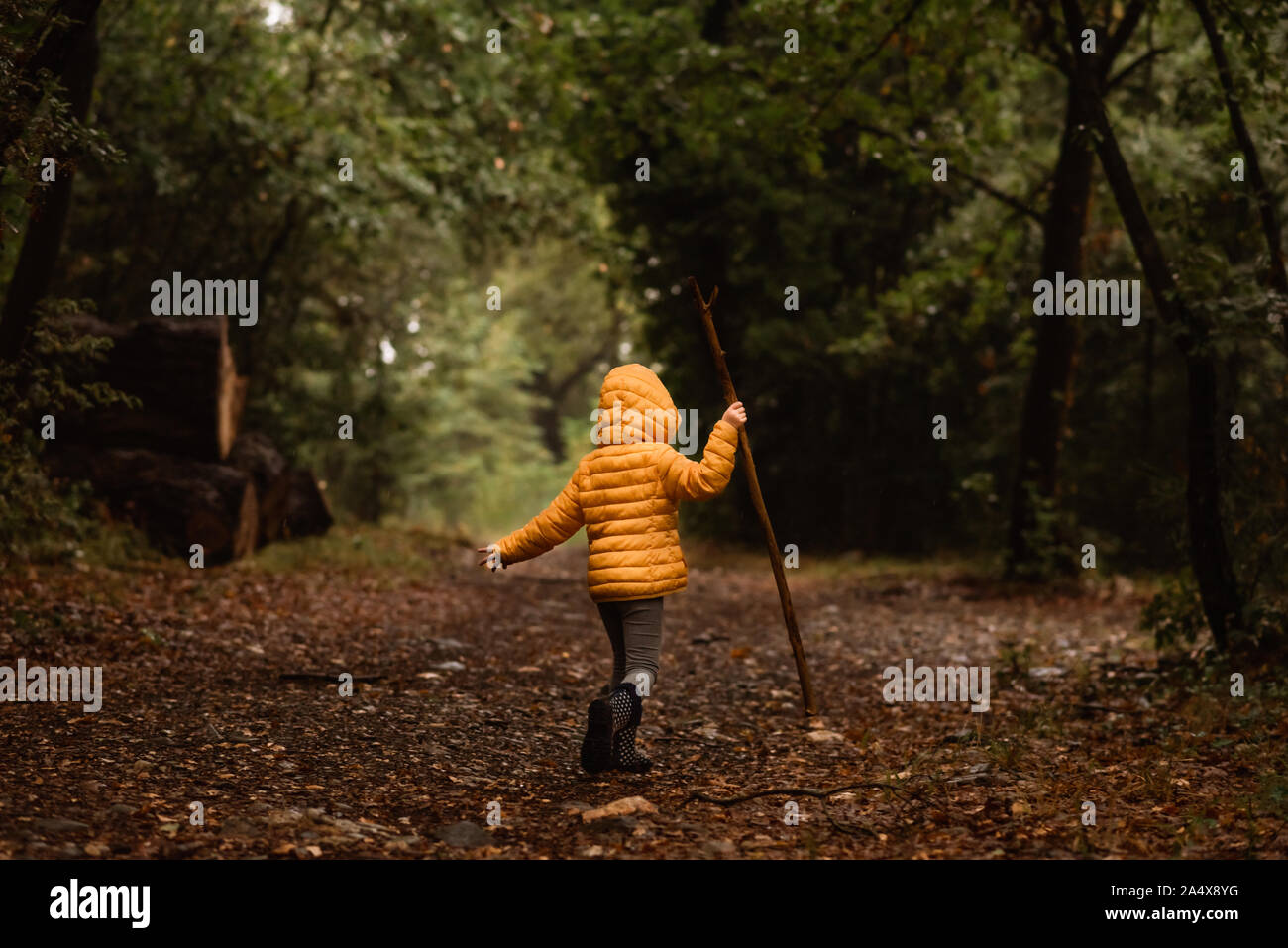 Bambino con stick passeggiate nella foresta di pioggia in giacca gialla Foto Stock