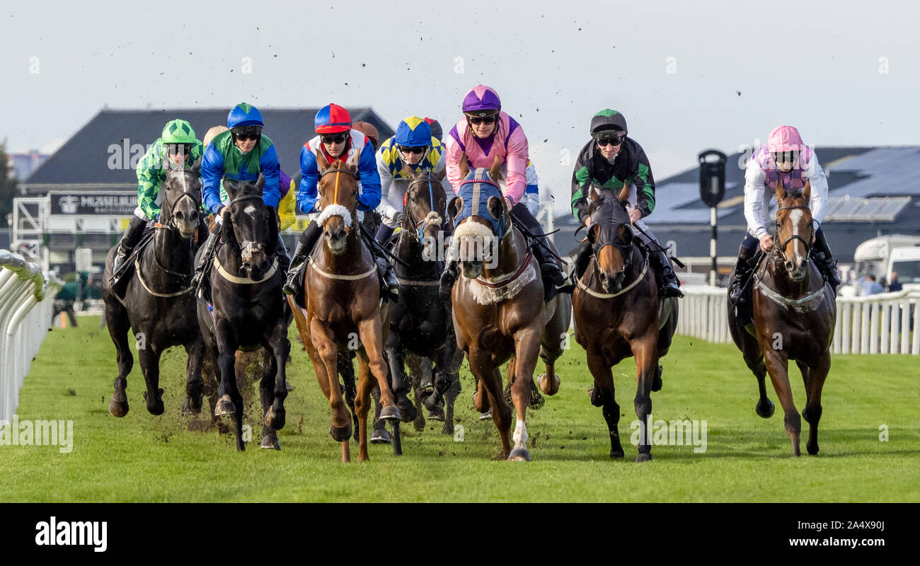 Jockey Jason Hart (blu/verde hat - la seconda da sinistra) sul Venerdì nero vincitori di simili Racing TV su Facebook Handicap - Musselburgh - 14/10/2019. Foto Stock