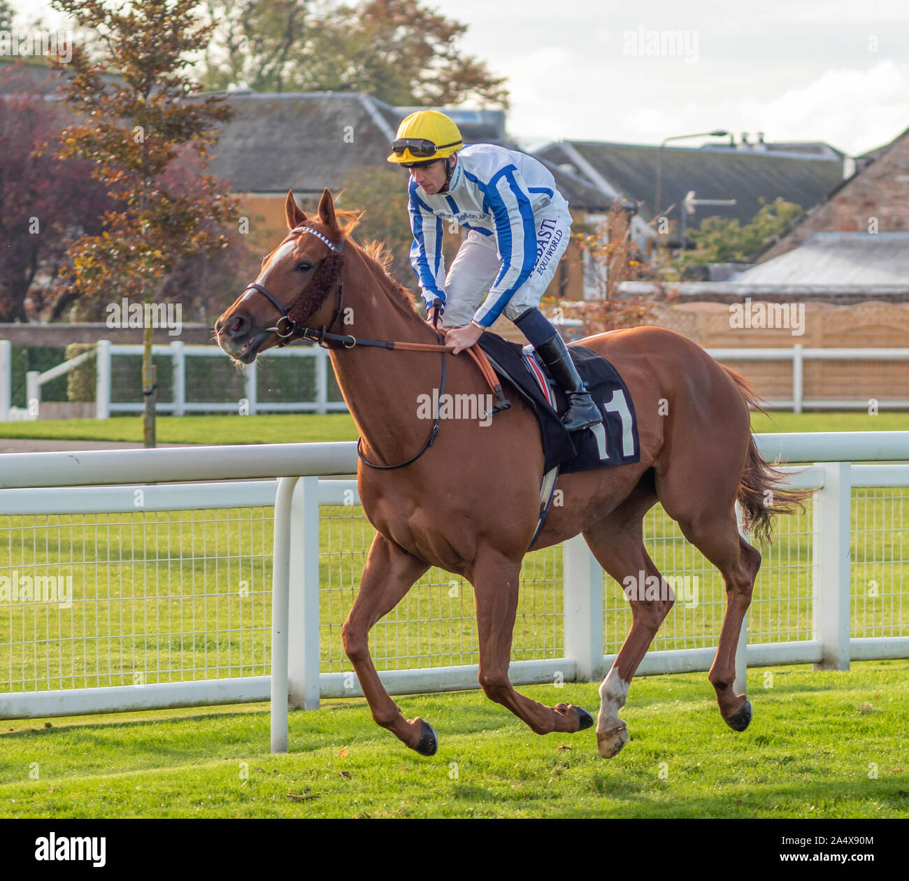 Camma Jockey Hardie in astrofisica, addestrati da Lynn Siddall, prima di seguire RacingTV @racingtv su Twitter Handicap - Musselburgh - 14/10/2019 Foto Stock