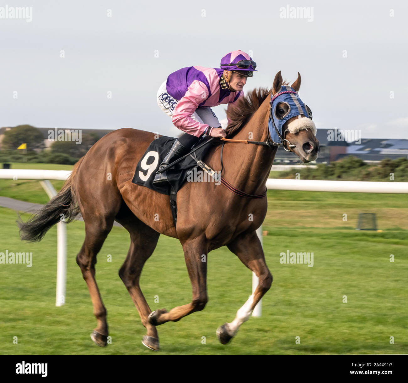 Jockey Callum Rodriguez su Arcavallo prima di simili Racing TV su Facebook Handicap a Musselburgh - 14 ottobre 2019. Foto Stock