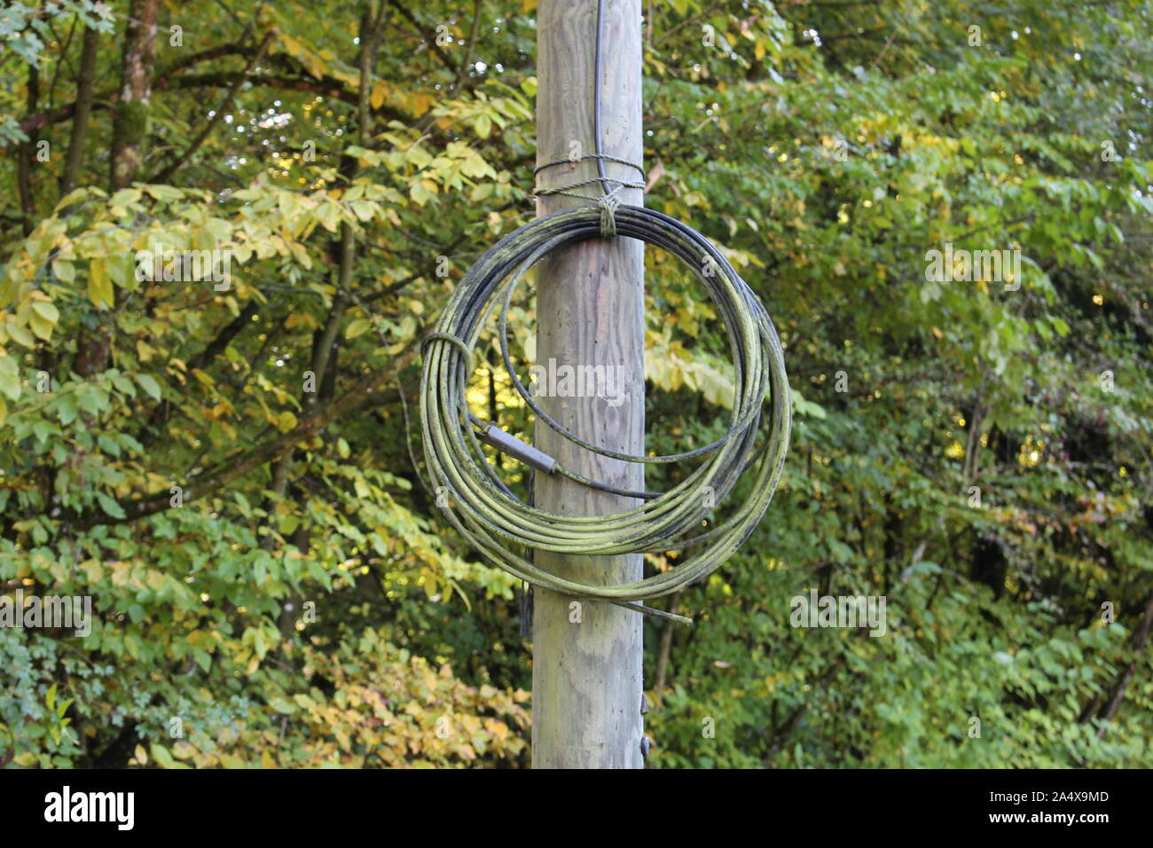 Arrotolate il cavo con moss su di essa legata a un vecchio montante in legno, scelto focus sul cavo Foto Stock