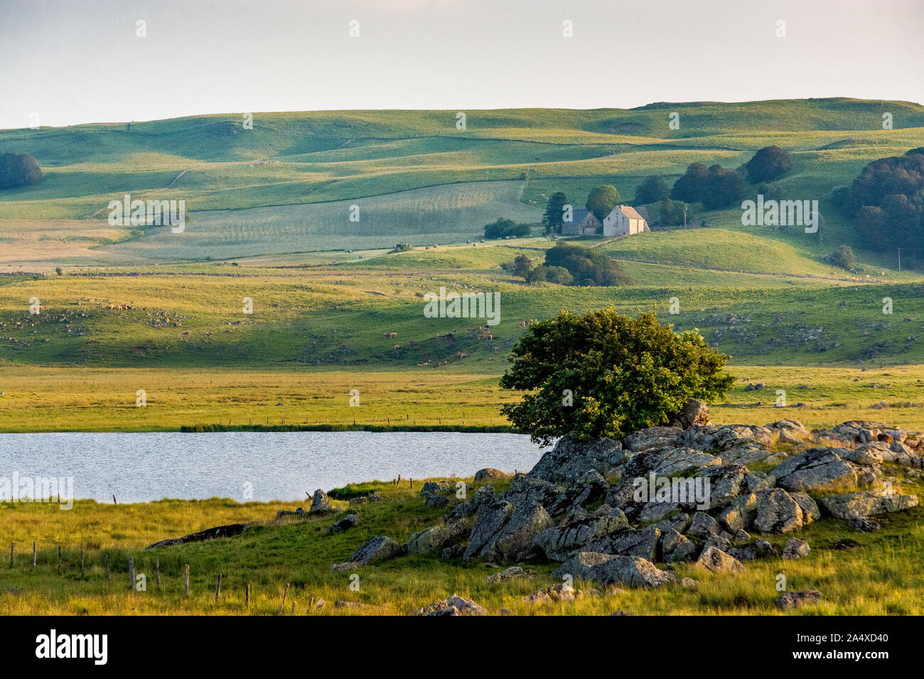 Agriturismo, lago e prati: un paesaggio di Aubrac altopiano in Francia Foto Stock