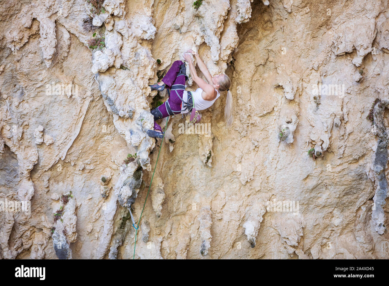 Giovani caucasici donna climbing impegnativo percorso sulla rupe a strapiombo Foto Stock