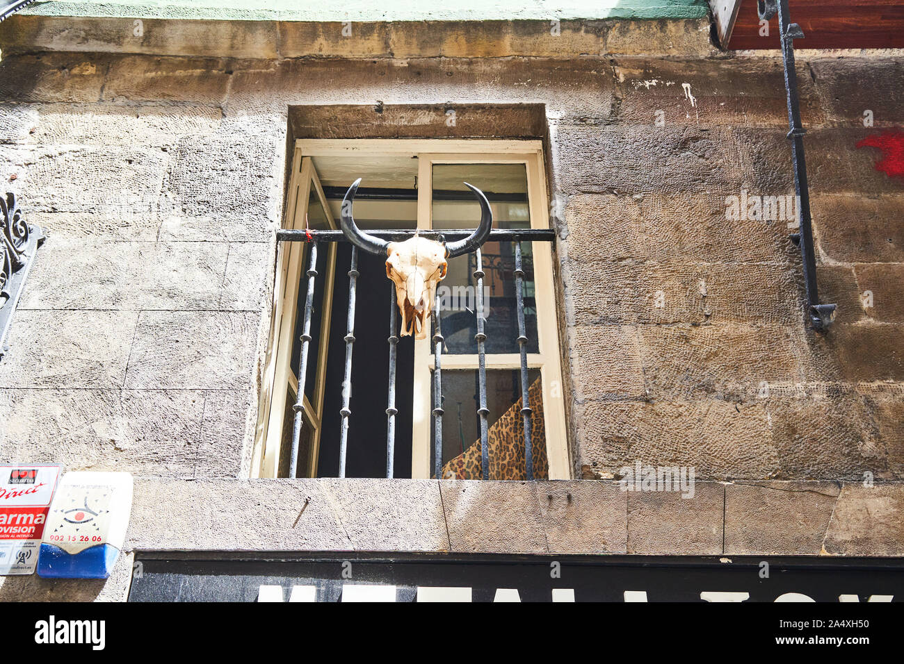 Finestra in pietra sopra il negozio Metallicko decorata con un cranio di toro e corna, Casco Viejo, Bilbao, Spagna Foto Stock