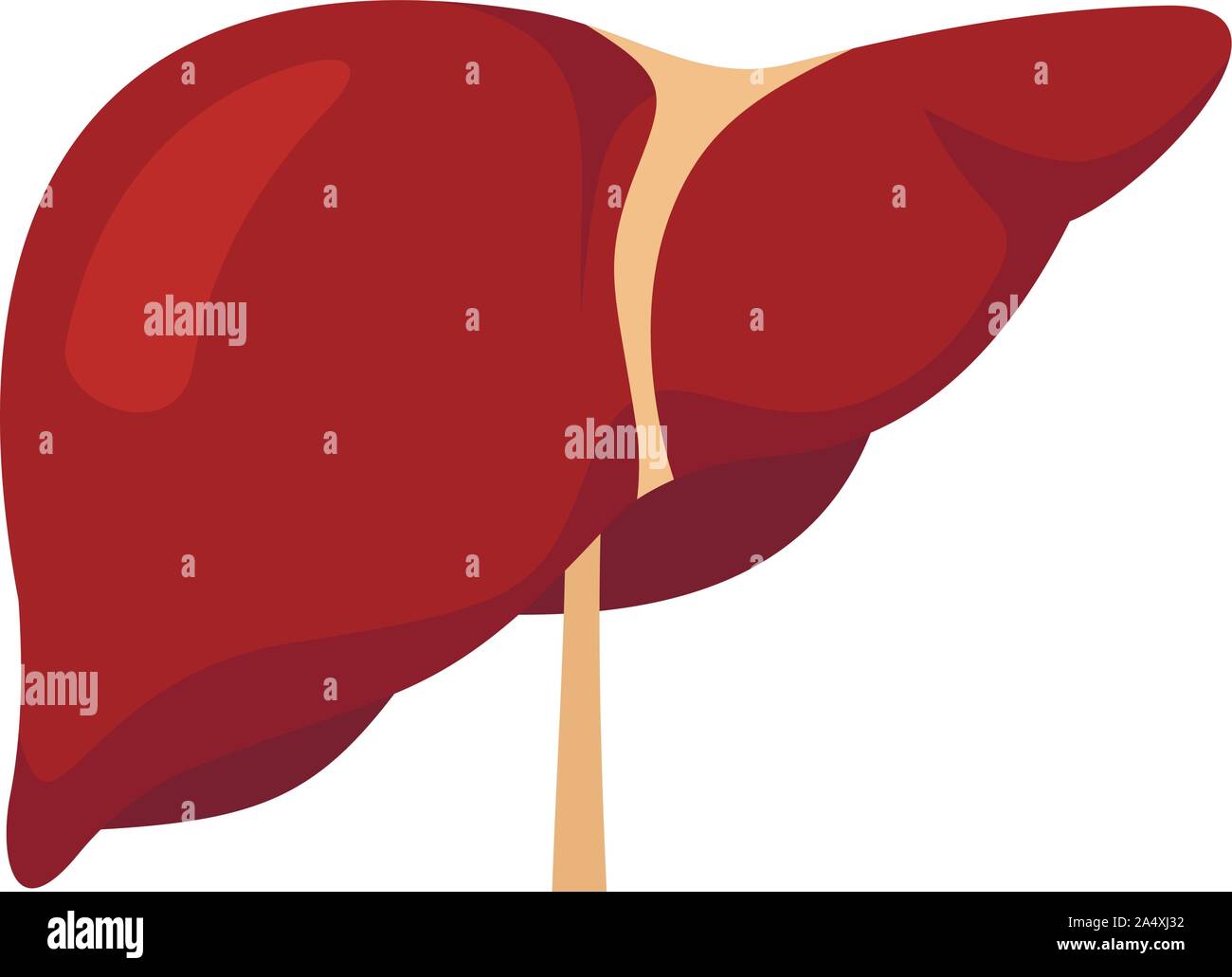 Il fegato umano icona. Illustrazione piana di fegato umano icona vettoriali per il web design Illustrazione Vettoriale