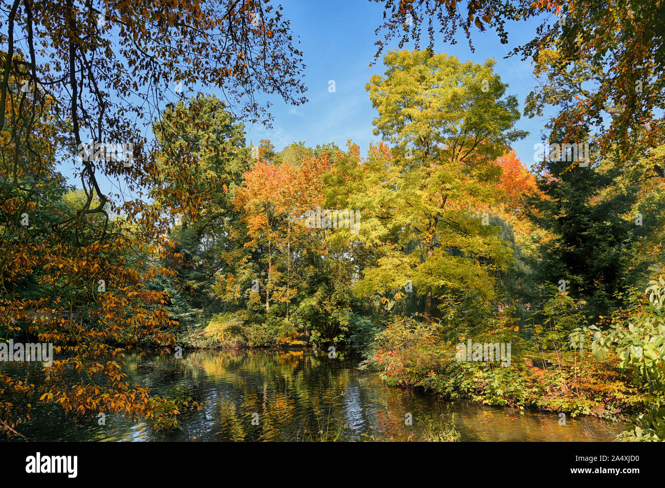 Autunno bello e mite di alberi con foglie colorate sulle sponde di un lago in un parco antico, natura stagionale con uno sfondo con cielo blu Foto Stock