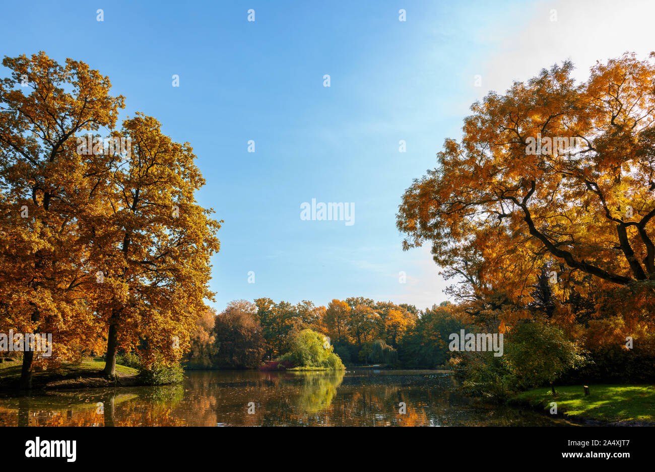 Bellissimi alberi con colorate Foglie di autunno intorno ad un lago in un parco antico, paesaggio stagionale con una copia dello spazio nel cielo blu Foto Stock