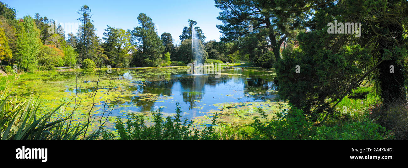 Il lago con la fontana nel verde parco durante l'estate Foto Stock