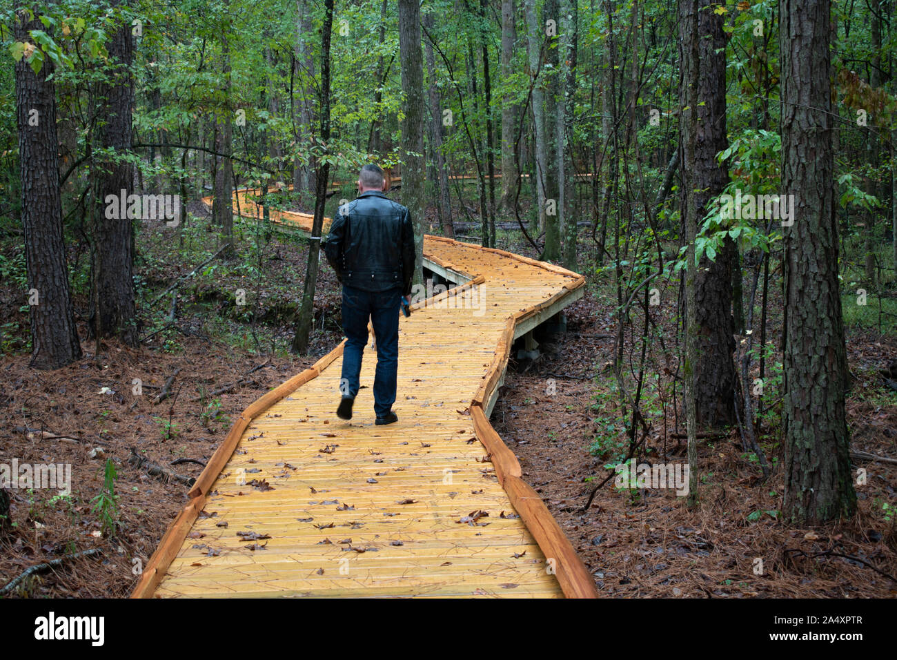 Un anziano uomo prende il suo cane per una passeggiata attraverso un bosco in Alabama. Foto Stock