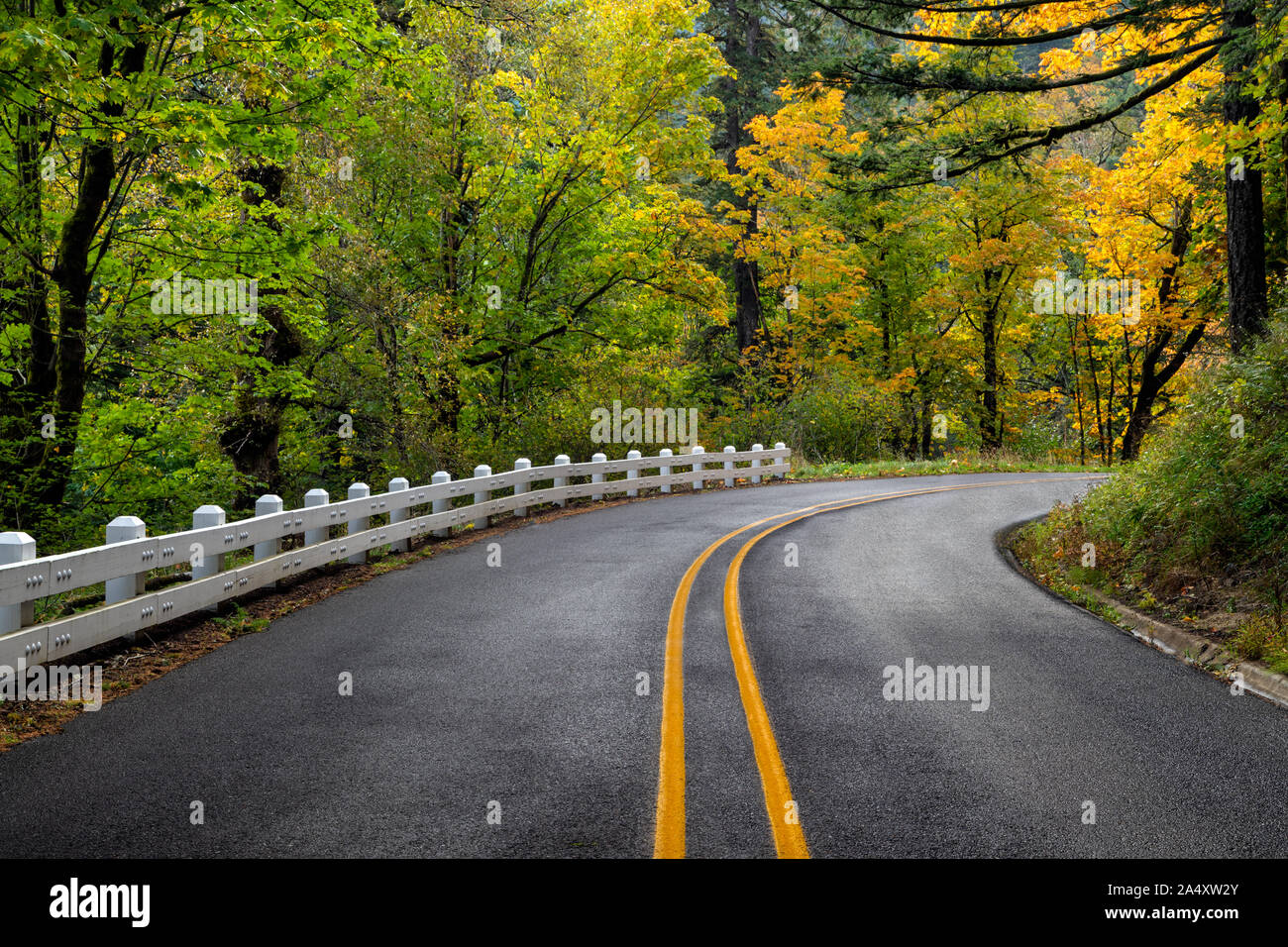 Una strada serpeggiante fiume Columbia Scenic Byway con il classico bianco recinzioni in Oregon, USA Foto Stock